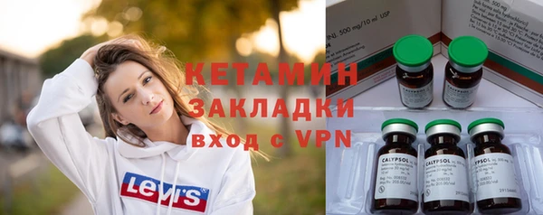 шишки Абаза