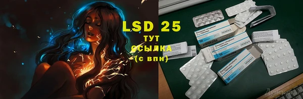 шишки Абаза