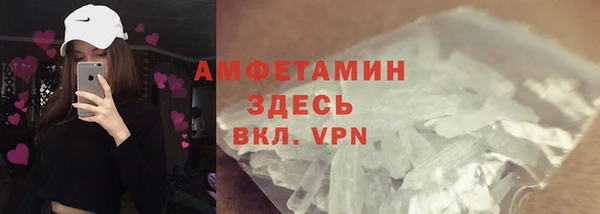 шишки Абаза