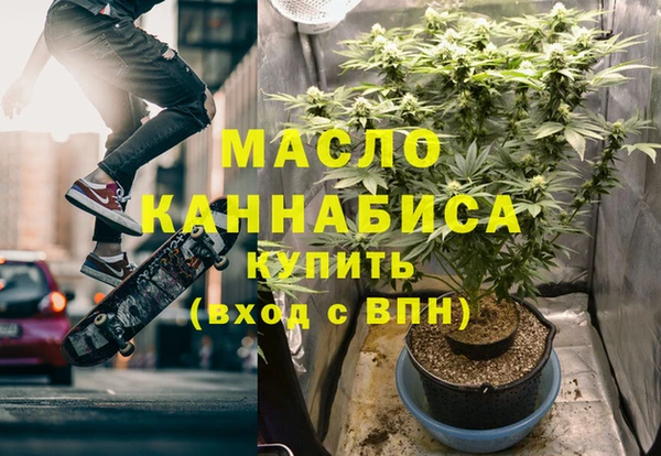 шишки Абаза