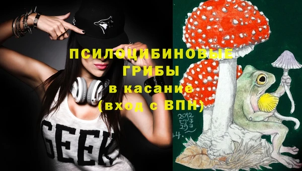 apvp Абинск