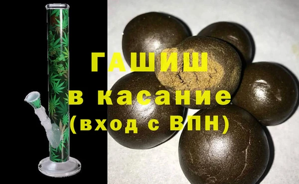 шишки Абаза