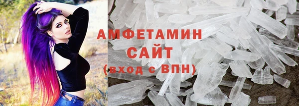 шишки Абаза