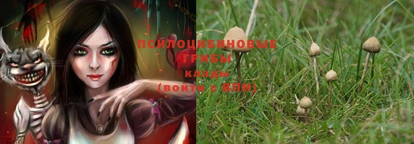 apvp Абинск